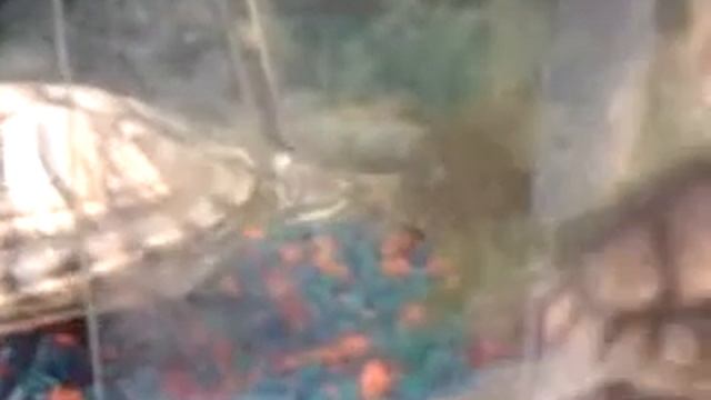 ПРИКОЛ...Красноухая черепашка щекочет...))) смотреть онлайн