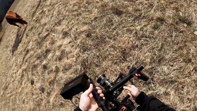 Shooting A MUSIC VIDEO On The Canon EOS R6 | POV смотреть онлайн