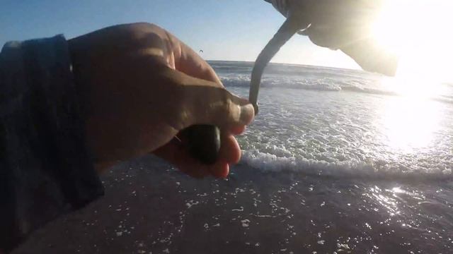 Berkley Gulp! Sand Crab VS Camo Sandworm смотреть онлайн