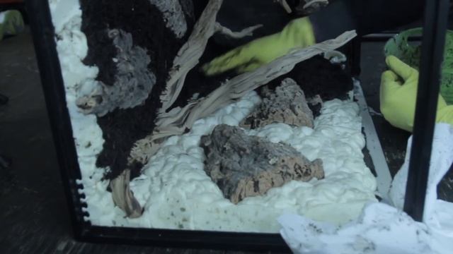 Medium X Tall Exo Terra (Part 11 TiteBond 3/Background Mix)