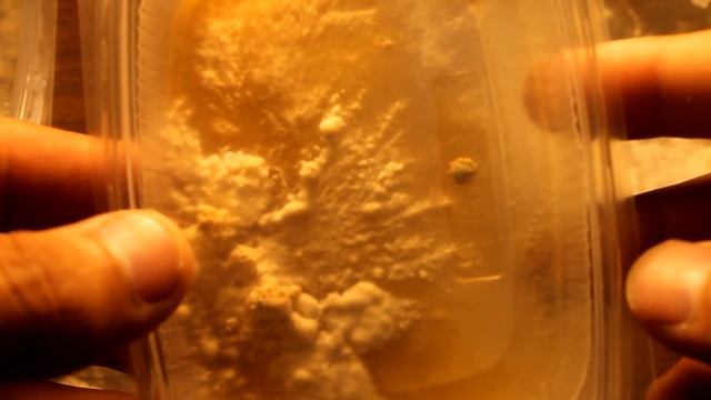 ежевик VS плесень смотреть онлайн