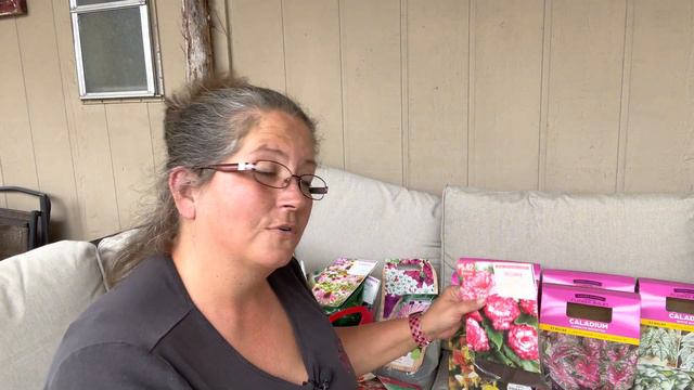 Full sun and full shade perennials for my garden #gardening2022 #dirttherapy #dollartree #aldi смотреть онлайн