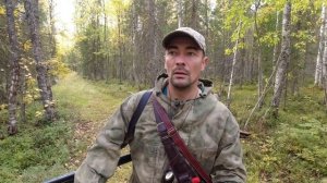 ПОХОД С СОБАКОЙ В ТАЙГУ НА ОХОТУ/ НАТАСКИВАЮ МОЛОДУЮ ЛАЙКУ НА БОРОВУЮ ДИЧЬ. КАРАКАТ ОХОТНИК.