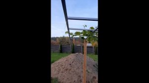 Как сделать легко, быстро и дёшево навес, опору для винограда своими руками.  #опора #навес #дача#