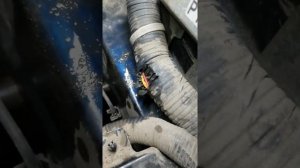 Не работает звуковой сигнал ниссан ноут