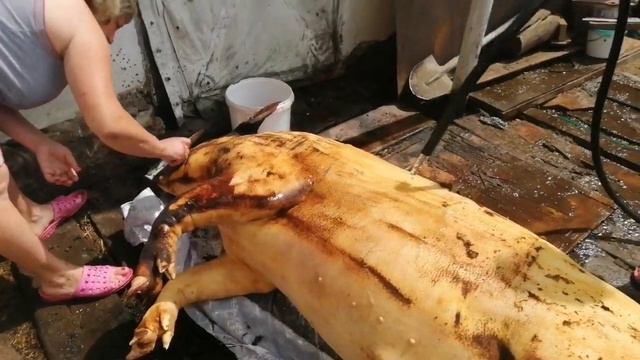 Забой борова смотреть онлайн