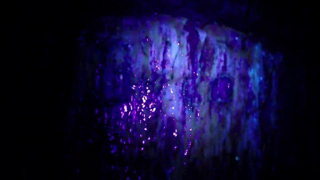 Ultraviolet Surprise in Nature смотреть онлайн