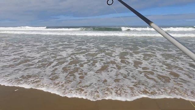 SURF PERCH FISHING! - 4K - MRS. RAGE GOES SURF PERCH FISHING! How to catch surf perch for beginners смотреть онлайн