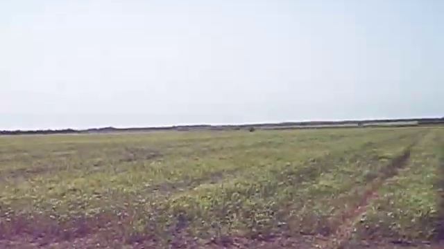 индивидуальный полив полей