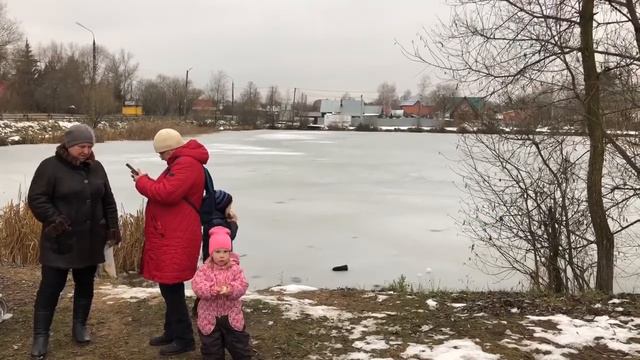Спасение уток смотреть онлайн