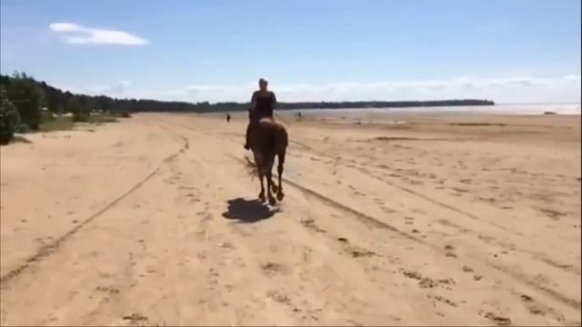 РЕЧКА РЕЧУШКА Поет ВАЛЕНТИНА ОВЧИННИКОВА смотреть онлайн