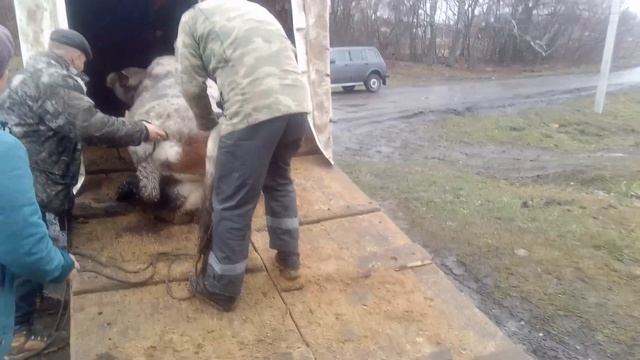 Ушла в бок. смотреть онлайн