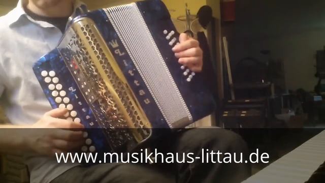 Гармонь Littau - современная композиция смотреть онлайн