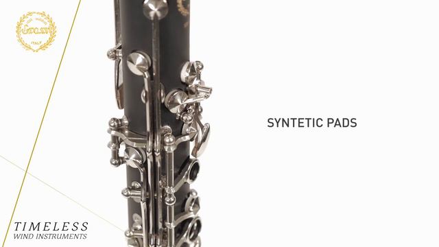 Clarinetto Master 17 chiavi - GR CL200 смотреть онлайн