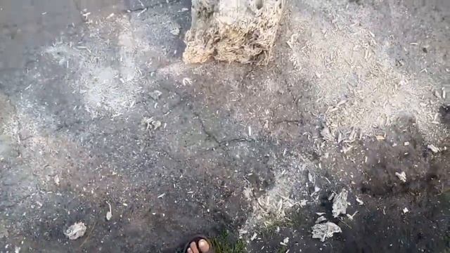 Арболит что можно сделать смотреть онлайн