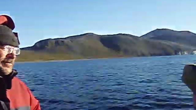 21 августа 2011 Мимо Китовой аллеи.AVI смотреть онлайн