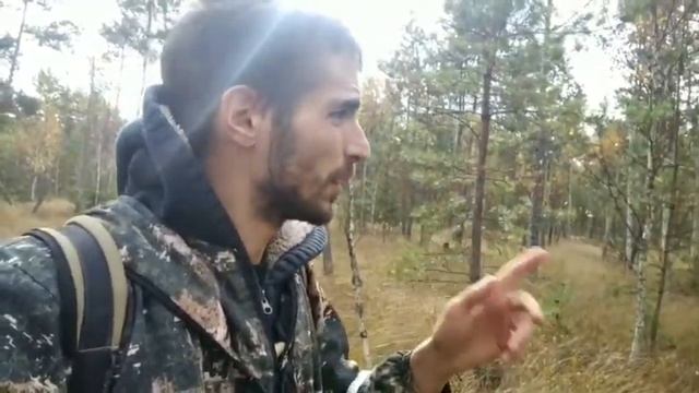 Как найти клюкву | одиночный поход в лес смотреть онлайн