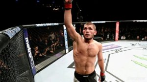 нашид кунту майтан под бой Хабиба