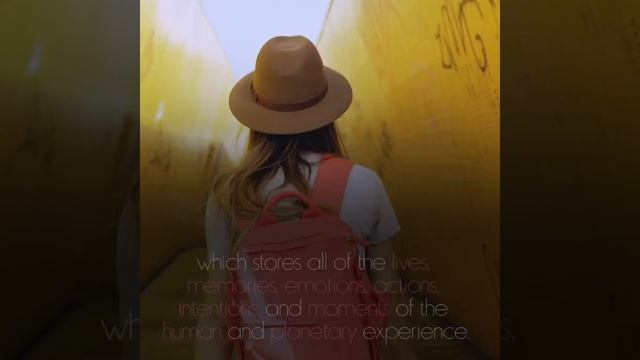 Amenti Oracle: What are the Halls of Amenti? #AmentiOracle смотреть онлайн