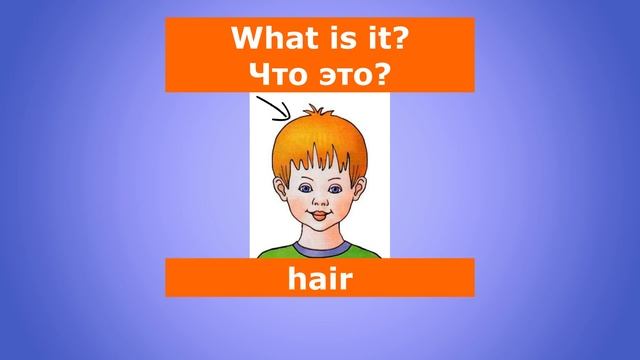 Части тела на английском языке. Parts Of The Body.