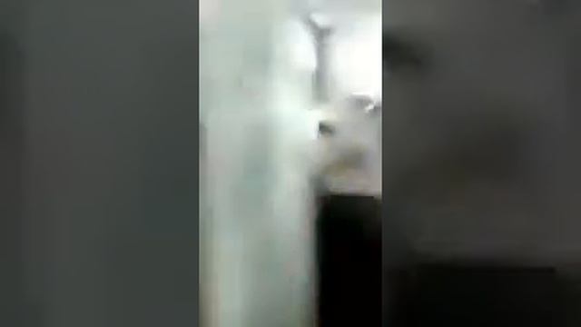 лошади кушают смотреть онлайн