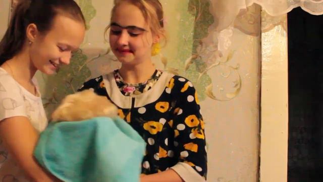 КАРОЧЕ ГОВОРЯ РОДИЛАСЬ СЕСТРА смотреть онлайн