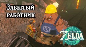Забытый работник. The Legend of Zelda Tears of the Kingdom. The Abandoned Laborer. Nintendo Switch
