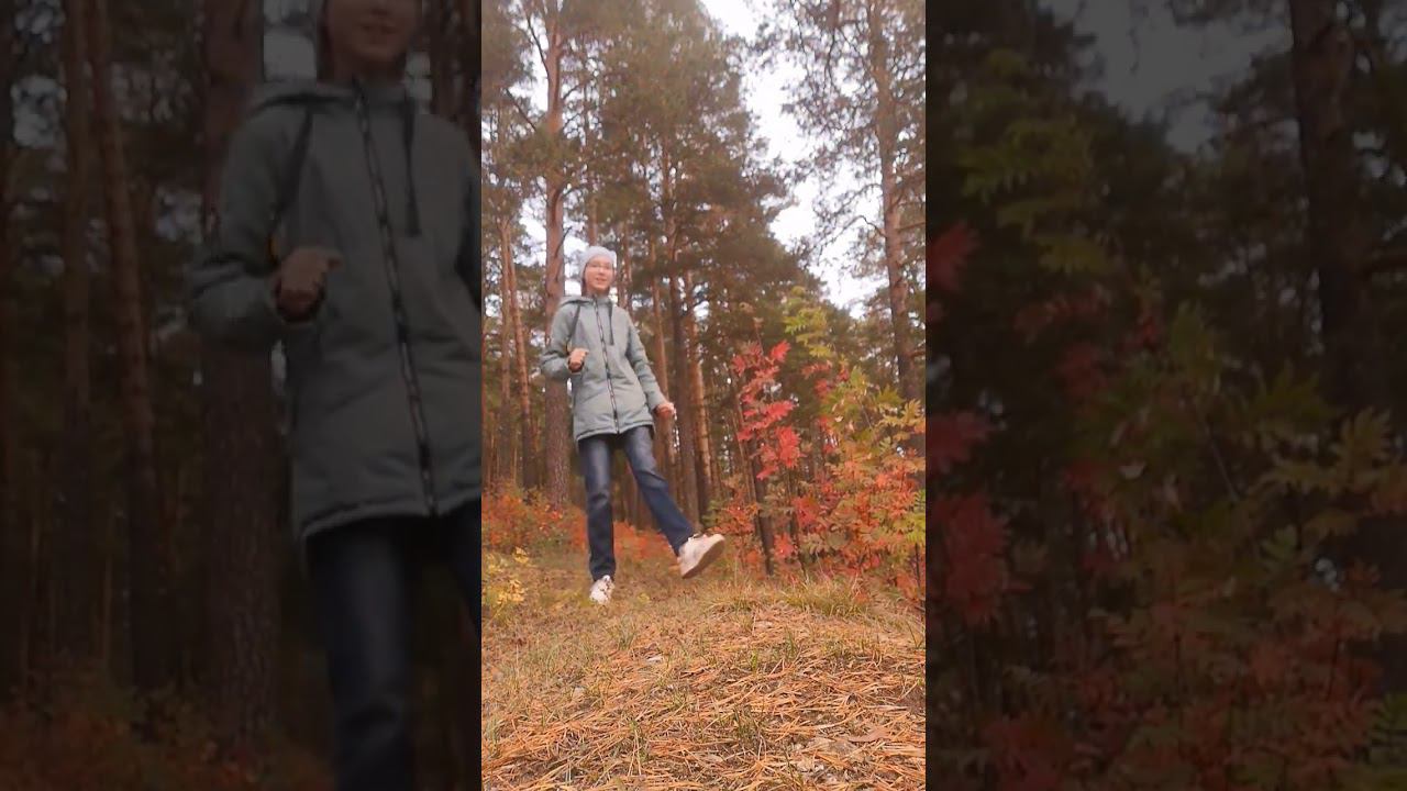 #сосновыйлес #гуляемвместе #подпишисьзайка #shortsvideo #глобальныерекомендации смотреть онлайн