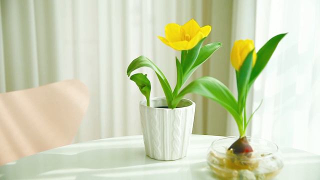 지금, 당신의 젊음은 안녕한가요? смотреть онлайн