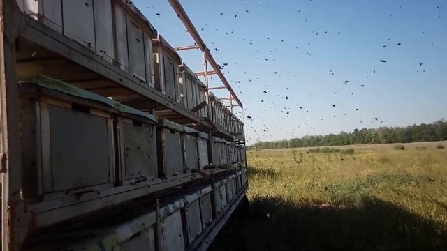 Не так страшен чёрт как его малюют смотреть онлайн