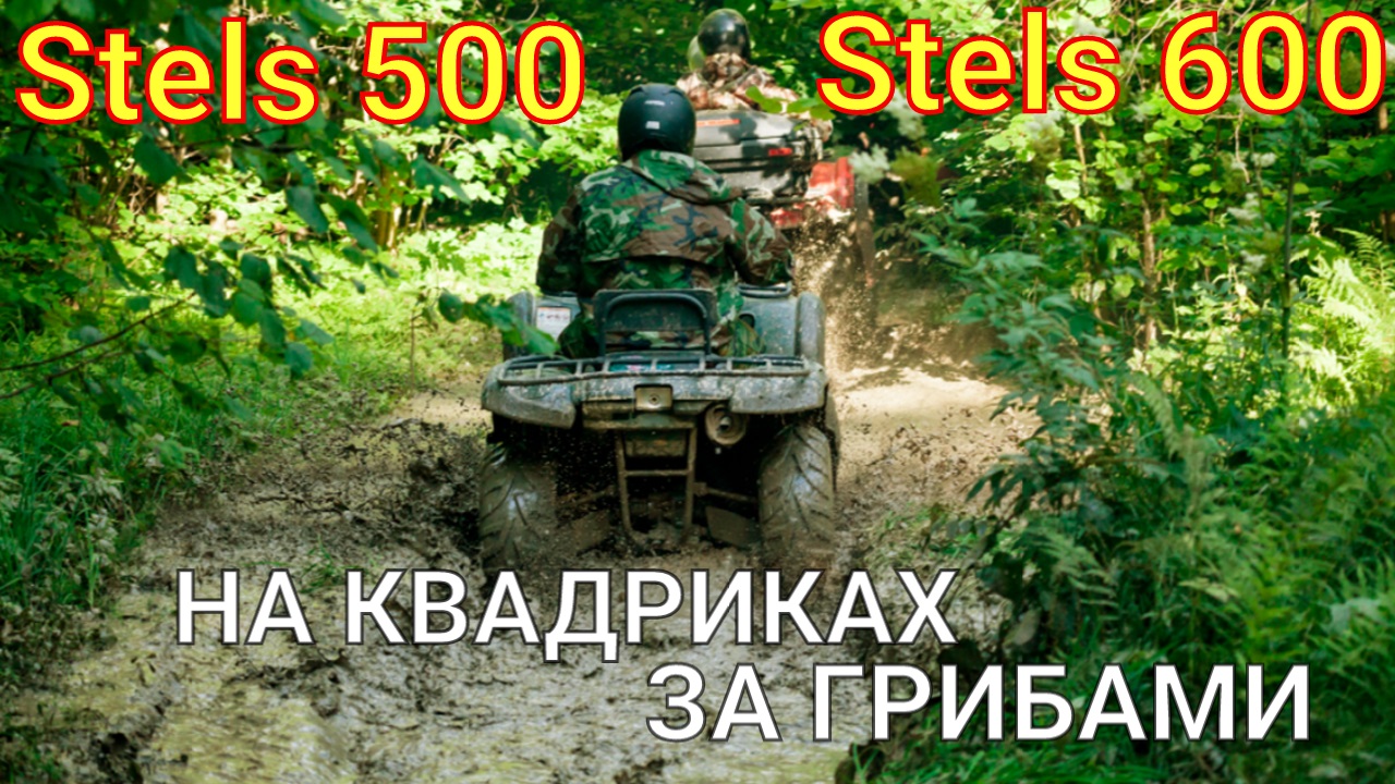 Stels 500 и Stels 600 off road за грибами. Собрали 3 корзинки смотреть онлайн