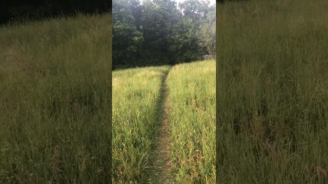 30 avril 2020 Вальпургиева ночь. Астро-магия. Ритуал исполнения желаний. 1часть. смотреть онлайн