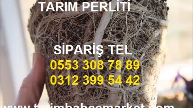 sera perliti, tarım sera perliti fiyatları, çelik köklendirme perliti, dal köklendirme perliti, per смотреть онлайн