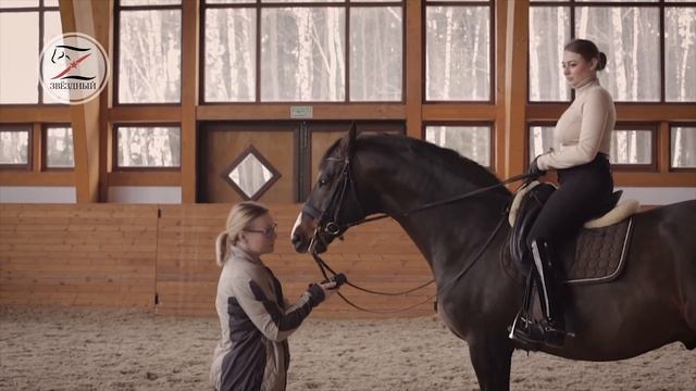 Азы посадки и управления лошадью в седле смотреть онлайн