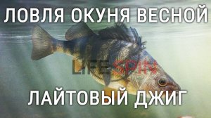 Ловля окуня весной. Лайтовый джиг.