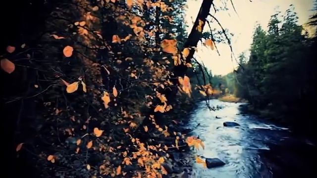 ОСЕНЬ 💗💚💙💛💗💜💗 ГУЛЬНАРА ИСМАЕВА 💗💚💙💛💗💜💗ВАДИМ ЗНАМЕНСКИЙ 💗💚💙💛💗💜💗 РОМАНСЫ И ПЕСНИ #2 ✈♫ℒℴѵℯ NY✈ KAZA смотреть онлайн