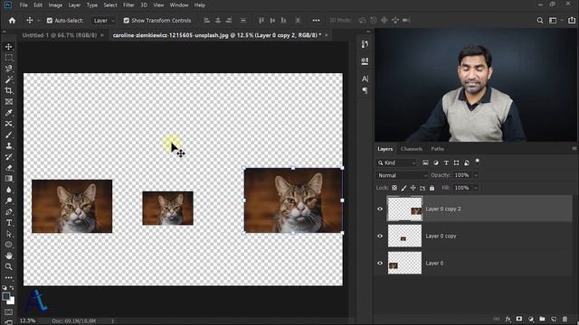 Move tool - Adobe Photoshop for Beginners in Hindi / Urdu - Class 3 смотреть онлайн