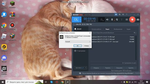 как скачать крассаут на пк смотреть онлайн