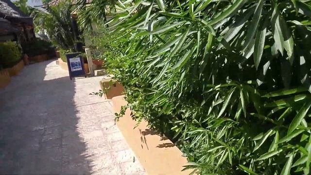 Занзибар, вид на Индийский океан из ресторана Amaan Beach Bungalows. Танзания. смотреть онлайн