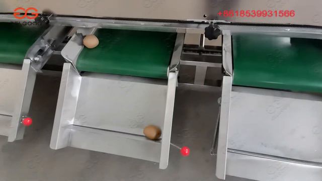 Kiwi Size Grading Machine Fruit Sorting Machine смотреть онлайн