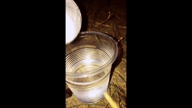 Эксперимент уксус плюс сода. Пена. Круто. Все в пене ! смотреть онлайн