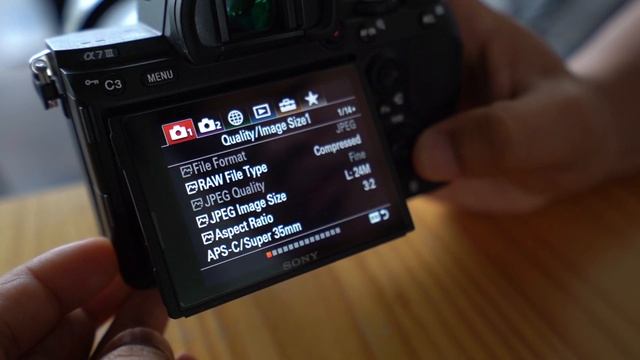 Sony A7III | Recover Image DB | Image Database Error | Orange Full Error Sign смотреть онлайн