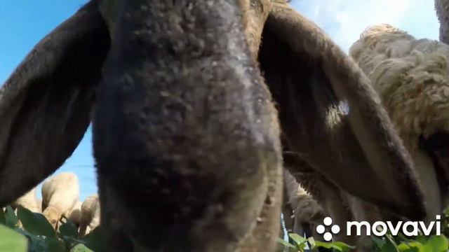 Лучшая музыка для медитаций - полное расслабление за 5 минут смотреть онлайн