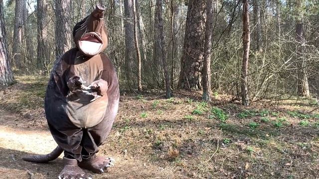 КАЛУЖСКИЙ ЭКОГЕРОЙ ХОХУЛЯ В БОРУ смотреть онлайн