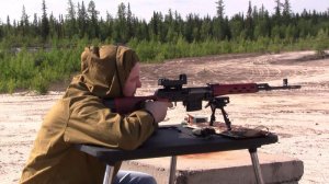 Пристрелка. Тигр, коллиматор, на 50 м.