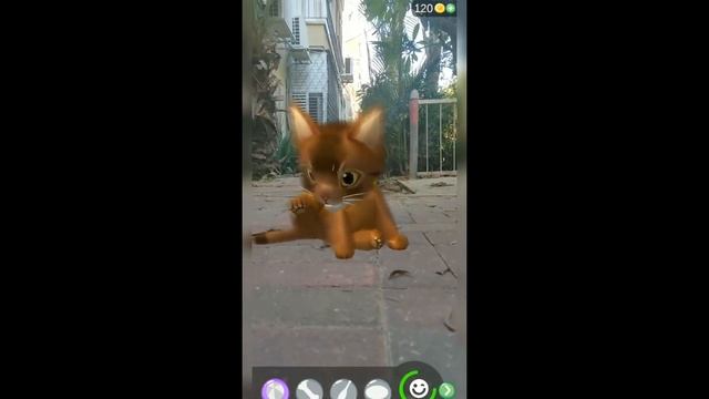 Virtual Cat Simulator Game in 3D/AR - Super Cute Kittens! смотреть онлайн