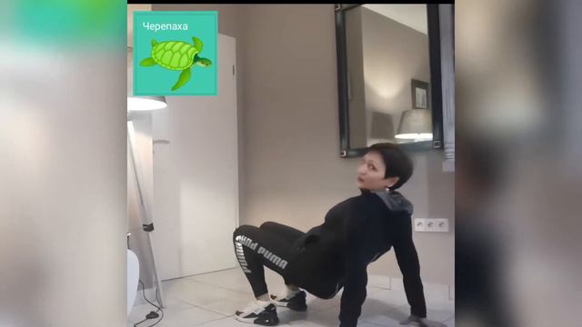 Серия физкультурных игр дома семьей "В зоопарке" смотреть онлайн