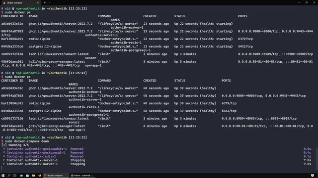 Setup Sonarr SSO with Authentik and Nginx Proxy Manager смотреть онлайн
