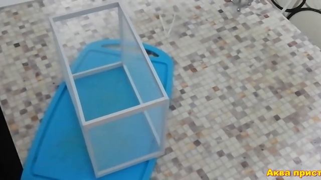 Сделал отсадник. Нашел в аквариуме икру!!! смотреть онлайн