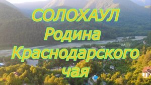 Горное село Солохаул. Чайные плантации в Сочи.